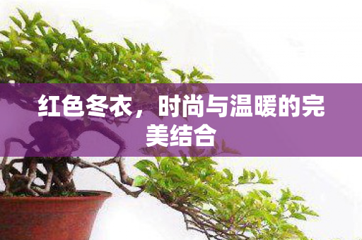 红色冬衣，时尚与温暖的完美结合