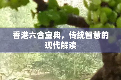 香港六合宝典,传统智慧的现代解读 香港六合宝典,传统智慧的现代解读