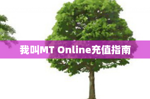 我叫MT Online充值指南