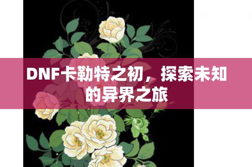 DNF卡勒特之初,探索未知的异界之旅 DNF卡勒特之初,探索未知的异界之旅