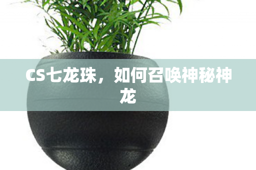 CS七龙珠,如何召唤神秘神龙 CS七龙珠,如何召唤神秘神龙