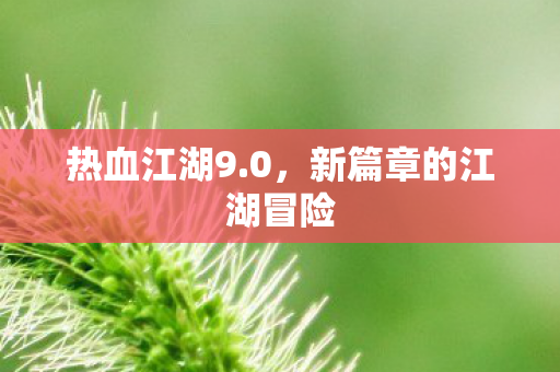 热血江湖9.0,新篇章的江湖冒险 热血江湖9.0,新篇章的江湖冒险