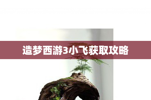 造梦西游3小飞获取攻略 造梦西游3小飞获取攻略