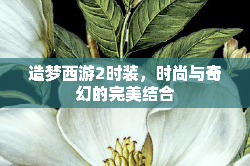 造梦西游2时装,时尚与奇幻的完美结合 造梦西游2时装,时尚与奇幻的完美结合