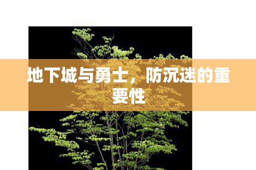 地下城与勇士,防沉迷的重要性 地下城与勇士,防沉迷的重要性