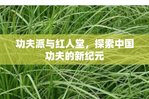 功夫派与红人堂,探索中国功夫的新纪元 功夫派与红人堂,探索中国功夫的新纪元