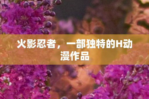 火影忍者,一部独特的H动漫作品 火影忍者,一部独特的H动漫作品