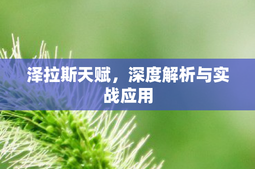 泽拉斯天赋,深度解析与实战应用 泽拉斯天赋,深度解析与实战应用