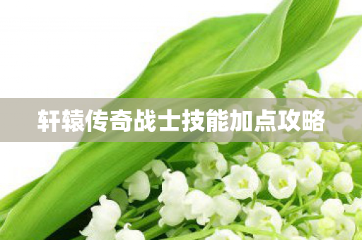 轩辕传奇战士技能加点攻略 轩辕传奇战士技能加点攻略