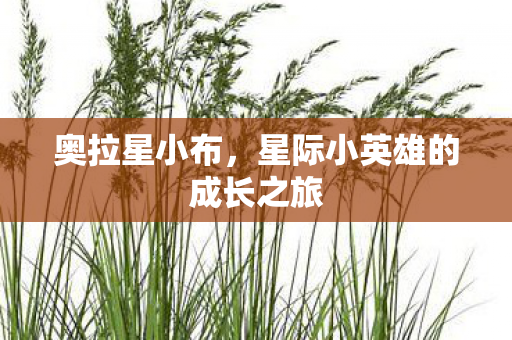 奥拉星小布，星际小英雄的成长之旅