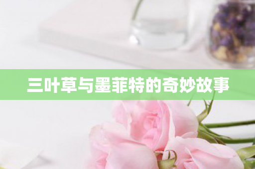 三叶草与墨菲特的奇妙故事