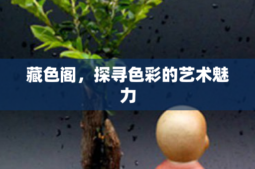 藏色阁,探寻色彩的艺术魅力 藏色阁,探寻色彩的艺术魅力