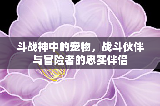 斗战神中的宠物,战斗伙伴与冒险者的忠实伴侣 斗战神中的宠物,战斗伙伴与冒险者的忠实伴侣
