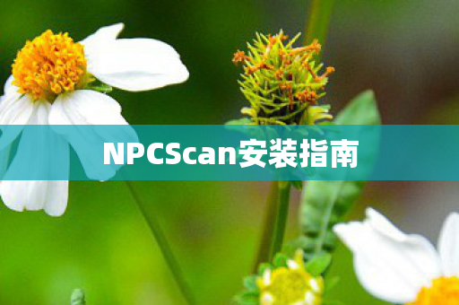 NPCScan安装指南 NPCScan安装指南