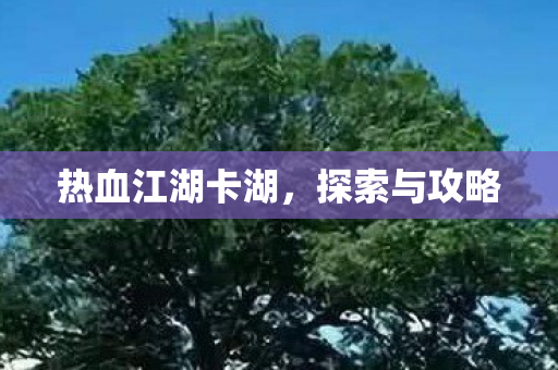 热血江湖卡湖,探索与攻略 热血江湖卡湖,探索与攻略