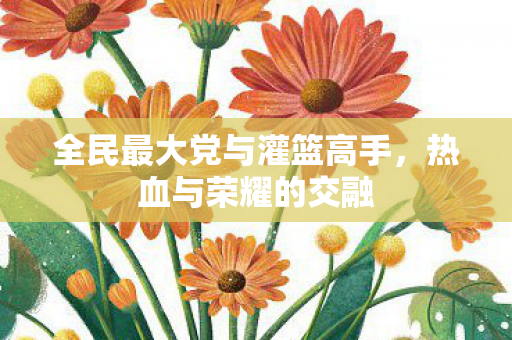 全民最大党与灌篮高手，热血与荣耀的交融