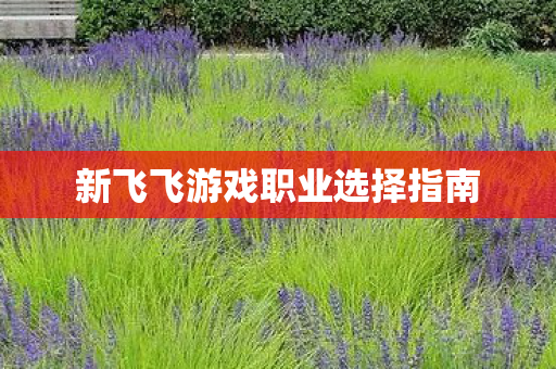 新飞飞游戏职业选择指南 新飞飞游戏职业选择指南