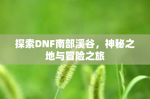 探索DNF南部溪谷,神秘之地与冒险之旅 探索DNF南部溪谷,神秘之地与冒险之旅