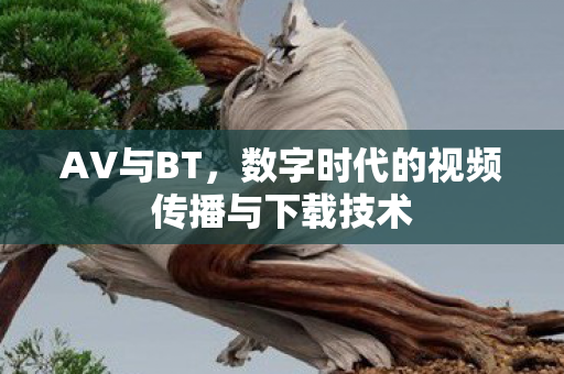 AV与BT,数字时代的视频传播与下载技术 AV与BT,数字时代的视频传播与下载技术