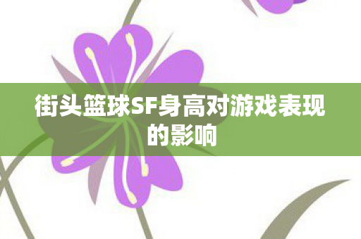 街头篮球SF身高对游戏表现的影响 街头篮球SF身高对游戏表现的影响