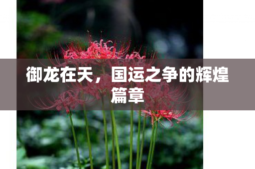 御龙在天,国运之争的辉煌篇章 御龙在天,国运之争的辉煌篇章