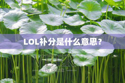 LOL补分是什么意思? LOL补分是什么意思?