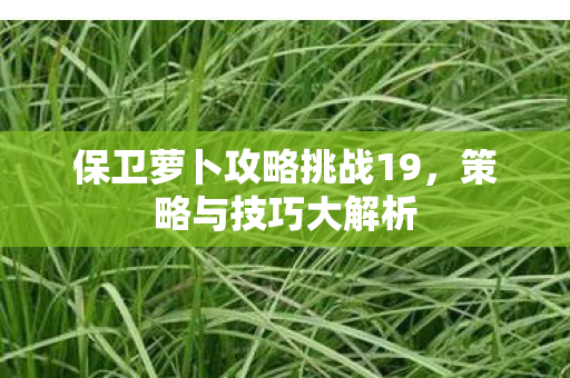 保卫萝卜攻略挑战19，策略与技巧大解析