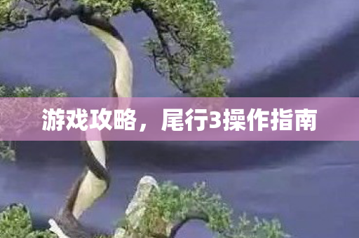 游戏攻略，尾行3操作指南