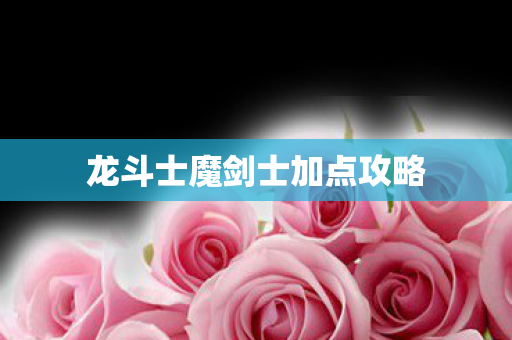 龙斗士魔剑士加点攻略 龙斗士魔剑士加点攻略