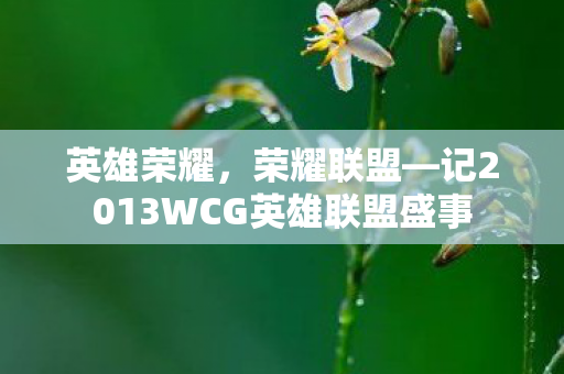 英雄荣耀,荣耀联盟—记2013WCG英雄联盟盛事 英雄荣耀,荣耀联盟—记2013WCG英雄联盟盛事