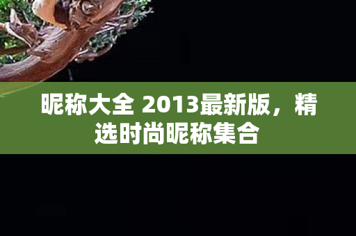 昵称大全 2013最新版,精选时尚昵称集合 昵称大全 2013最新版,精选时尚昵称集合