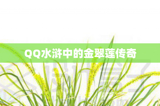 QQ水浒中的金翠莲传奇 QQ水浒中的金翠莲传奇