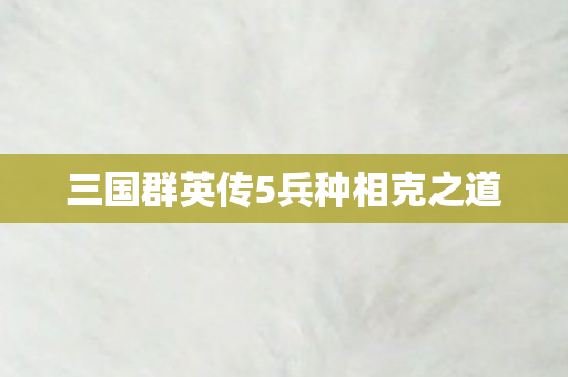 三国群英传5兵种相克之道 三国群英传5兵种相克之道