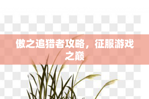 傲之追猎者攻略，征服游戏之巅