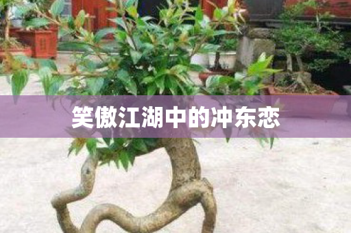 笑傲江湖中的冲东恋 笑傲江湖中的冲东恋