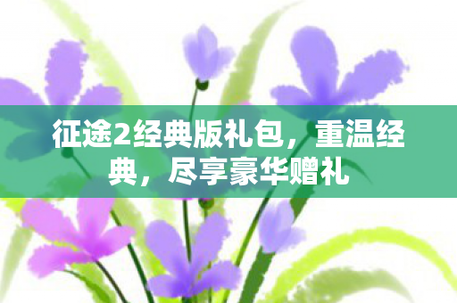 征途2经典版礼包,重温经典,尽享豪华赠礼 征途2经典版礼包,重温经典,尽享豪华赠礼