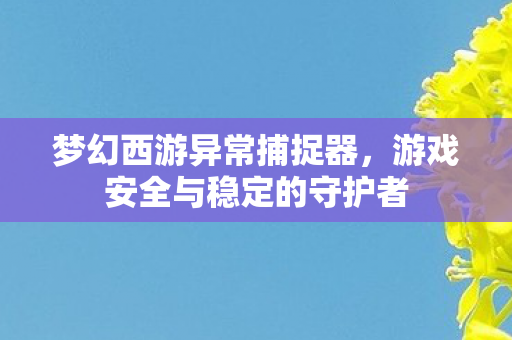 梦幻西游异常捕捉器,游戏安全与稳定的守护者 梦幻西游异常捕捉器,游戏安全与稳定的守护者