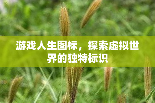 游戏人生图标,探索虚拟世界的独特标识 游戏人生图标,探索虚拟世界的独特标识