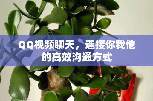 QQ视频聊天,连接你我他的高效沟通方式 QQ视频聊天,连接你我他的高效沟通方式