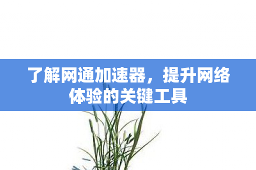 了解网通加速器，提升网络体验的关键工具