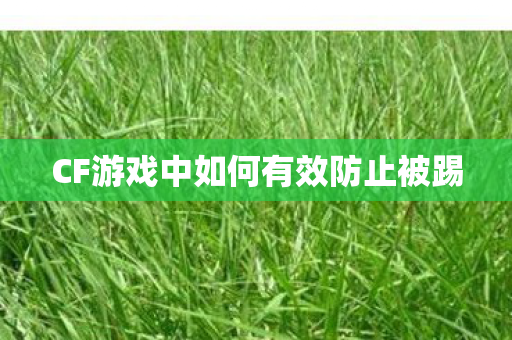 CF游戏中如何有效防止被踢