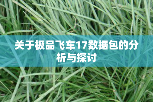 关于极品飞车17数据包的分析与探讨 关于极品飞车17数据包的分析与探讨
