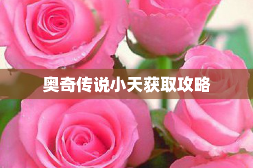 奥奇传说小天获取攻略 奥奇传说小天获取攻略