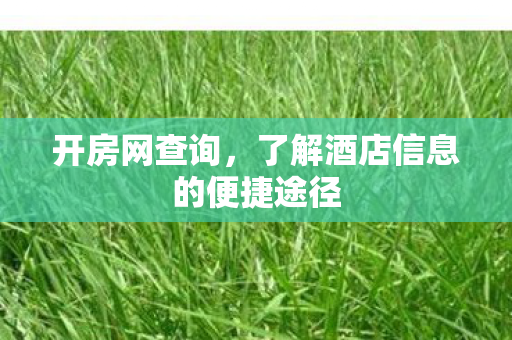 开房网查询,了解酒店信息的便捷途径 开房网查询,了解酒店信息的便捷途径