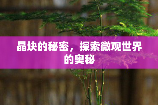 晶块的秘密,探索微观世界的奥秘 晶块的秘密,探索微观世界的奥秘