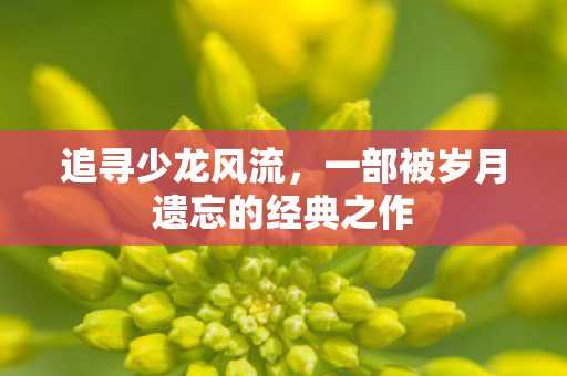 追寻少龙风流,一部被岁月遗忘的经典之作 追寻少龙风流,一部被岁月遗忘的经典之作