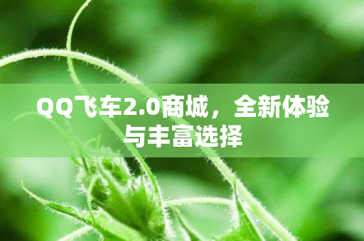 QQ飞车2.0商城,全新体验与丰富选择 QQ飞车2.0商城,全新体验与丰富选择