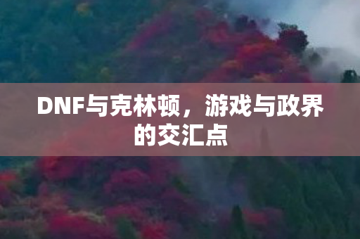 DNF与克林顿，游戏与政界的交汇点