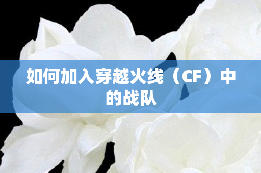 如何加入穿越火线(CF)中的战队 如何加入穿越火线(CF)中的战队