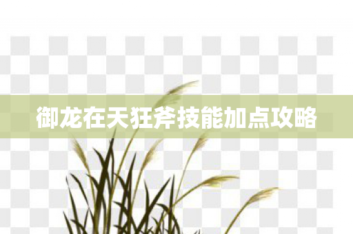 御龙在天狂斧技能加点攻略 御龙在天狂斧技能加点攻略